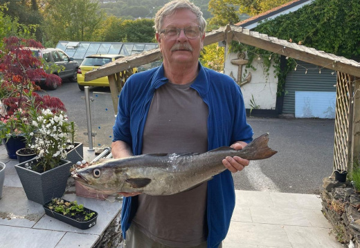 WhatsApp Image 2026-02-13 at 14.34.07 (1)