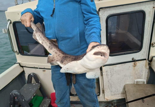 WhatsApp Image 2026-02-13 at 14.34.09 (2)